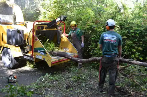 tree services Chebanse